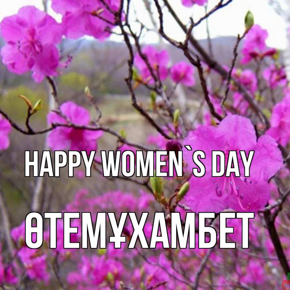 Greetings card с именем, ӨТЕМҰХАМБЕТ happy women`s day международный женский день Greetings with text for free download 